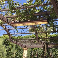 Solaira Alpha H3 Heater suspended underneath a pergola in a Beverly Hills backyard